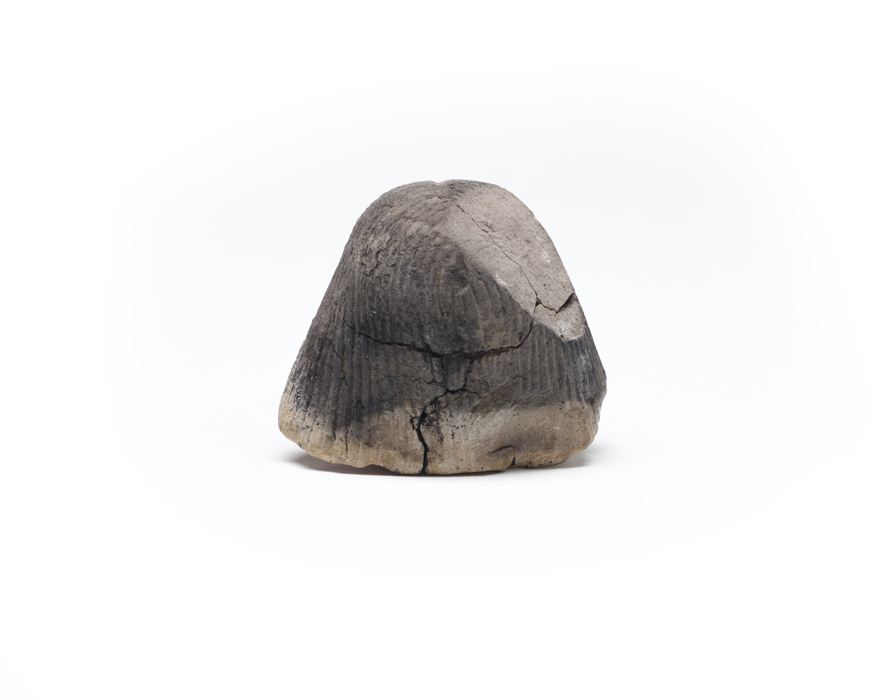 Image for Head