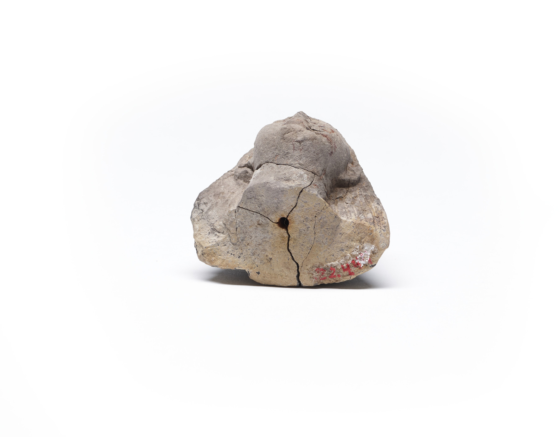 Image for Head