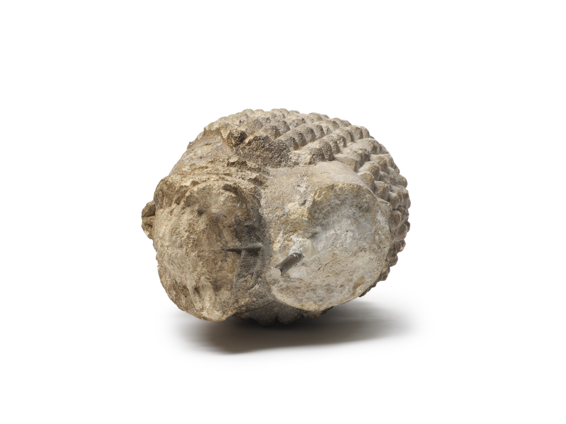 Image for Head of Christ