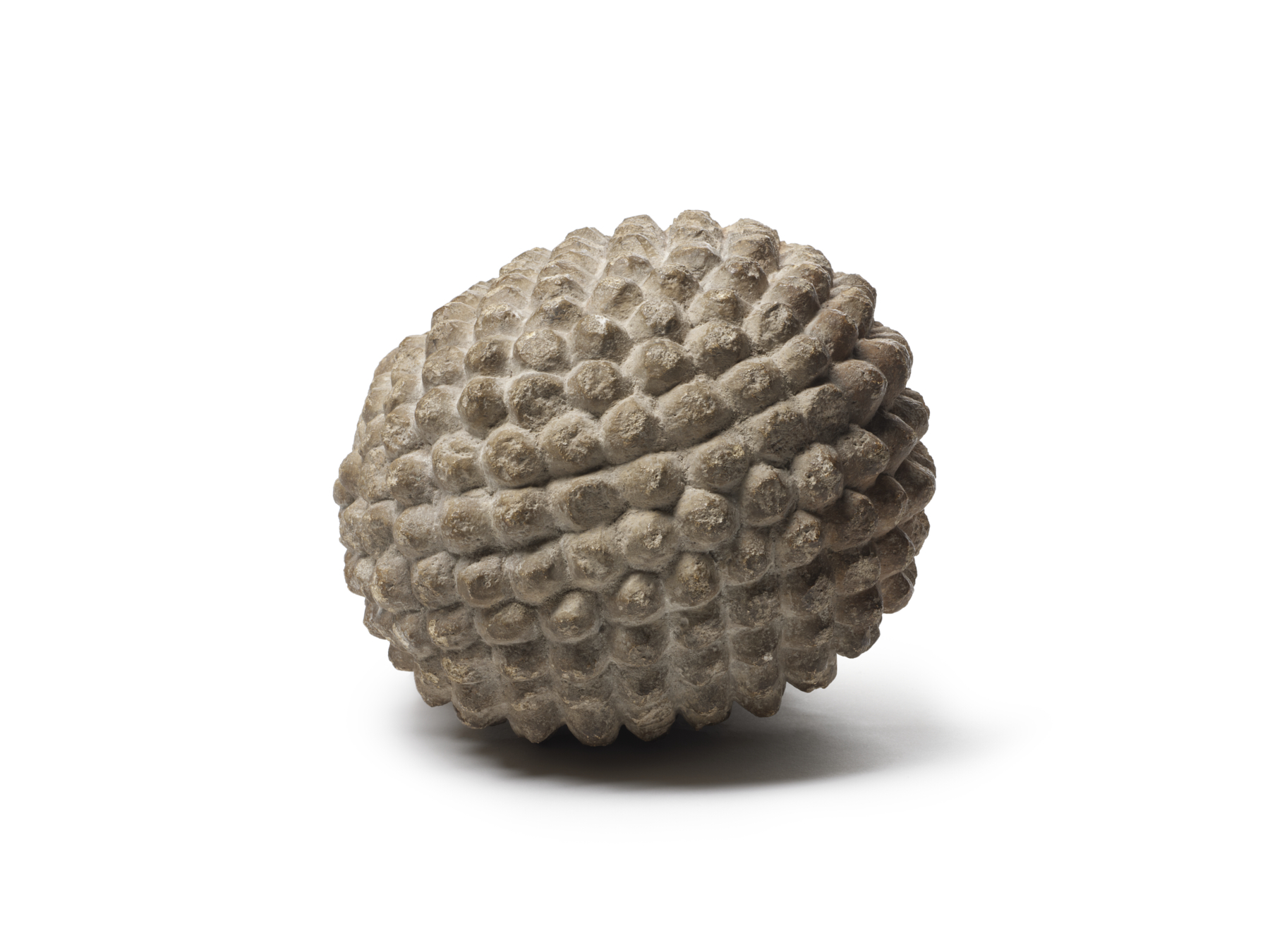 Image for Head of Christ