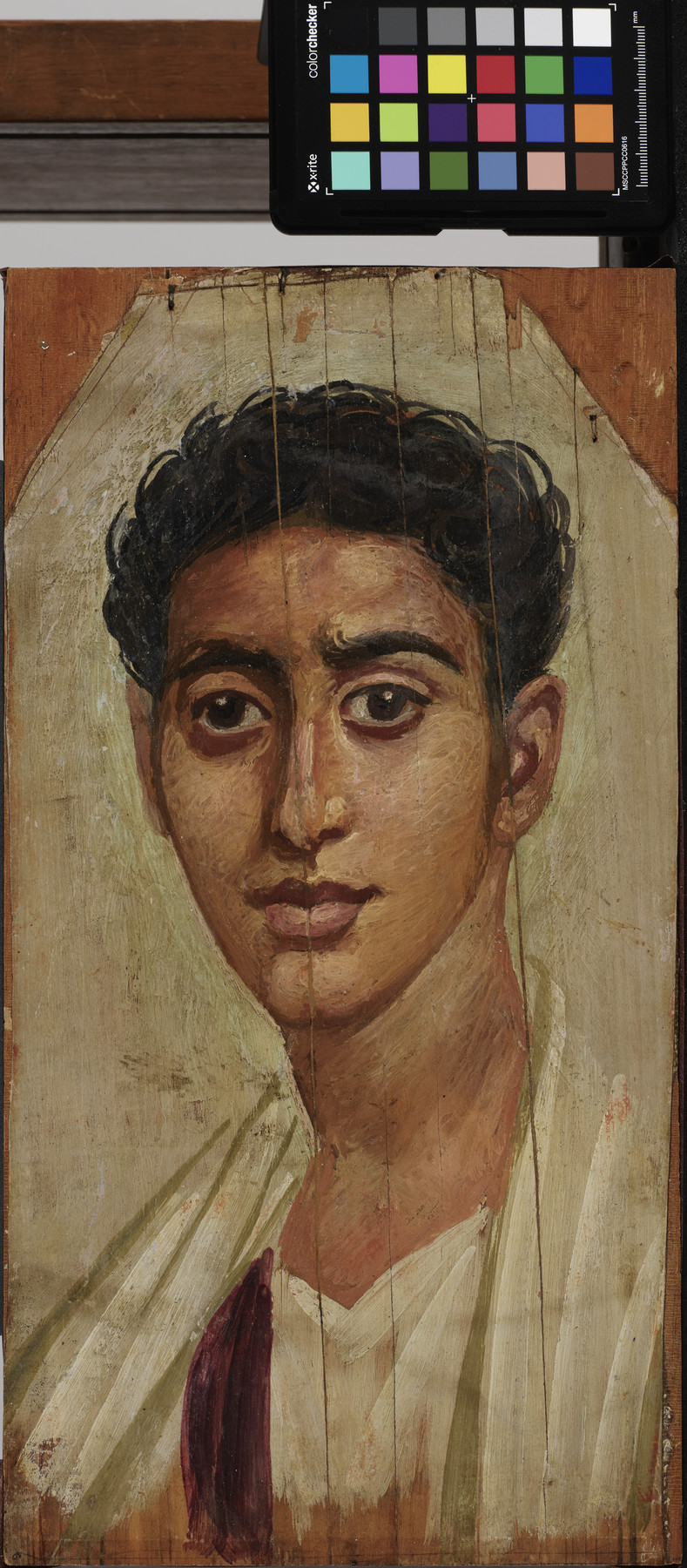 Image for Panel Portrait of a Man