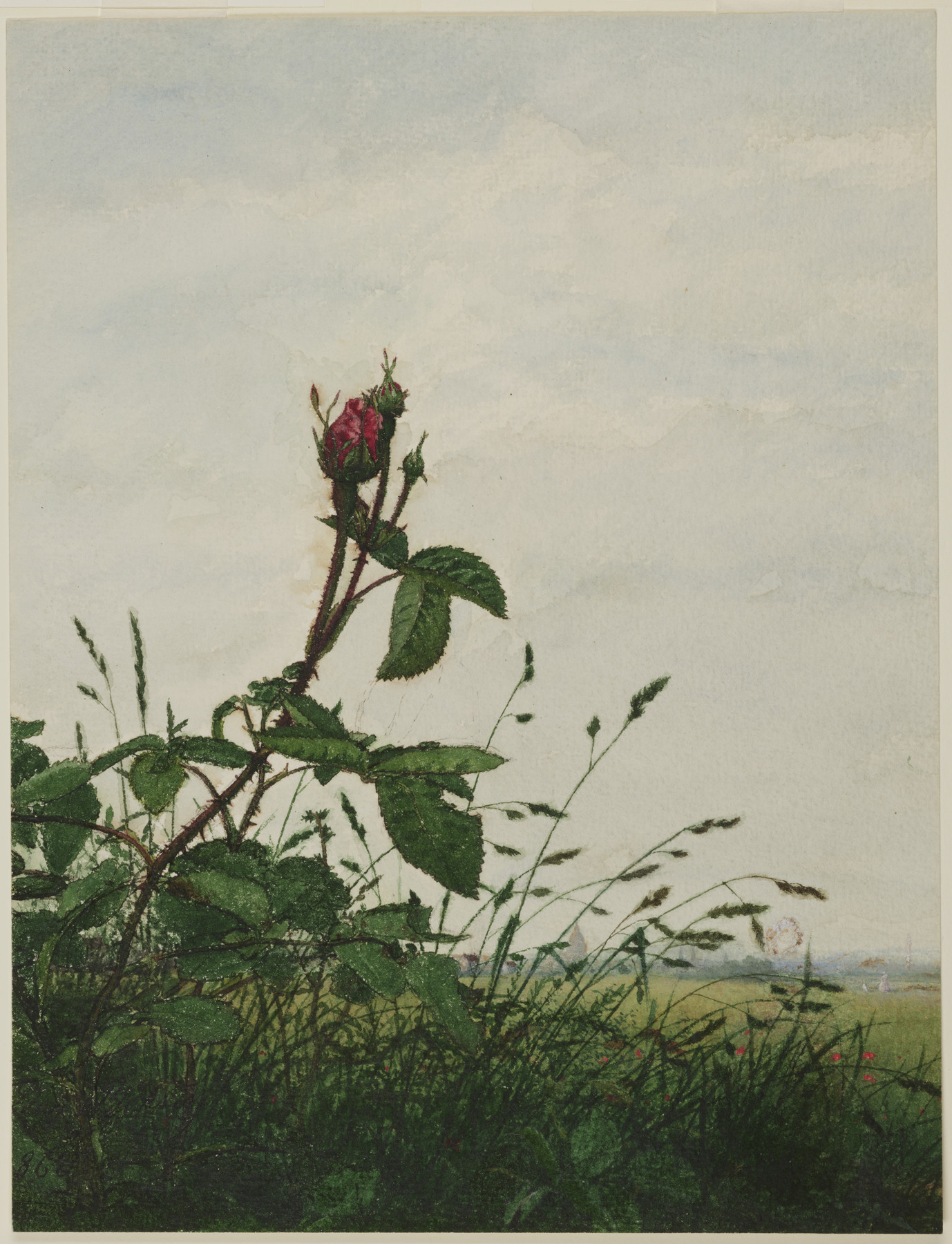 Image for Rose Bud in front of a Landscape