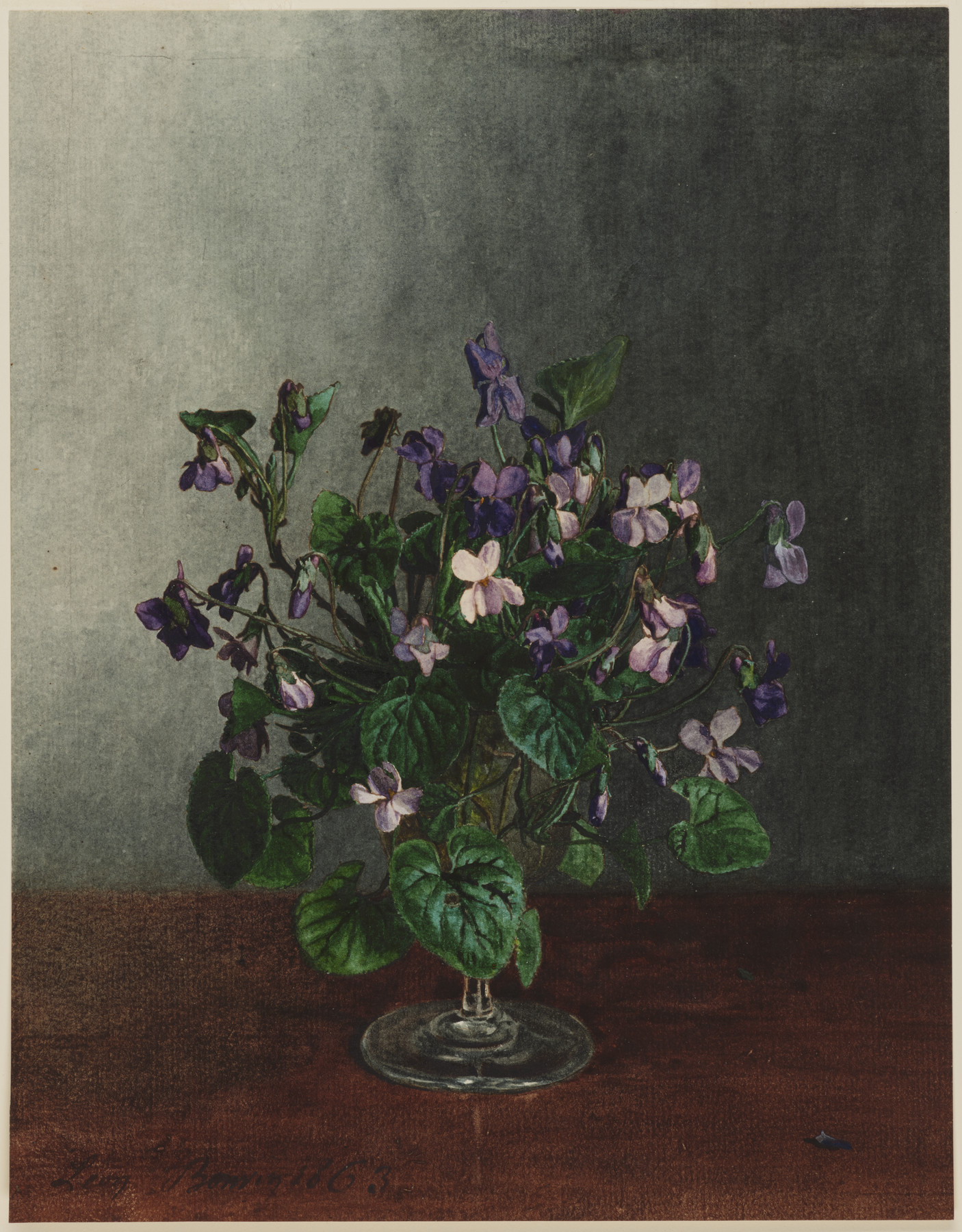 Image for Bouquet of Violets