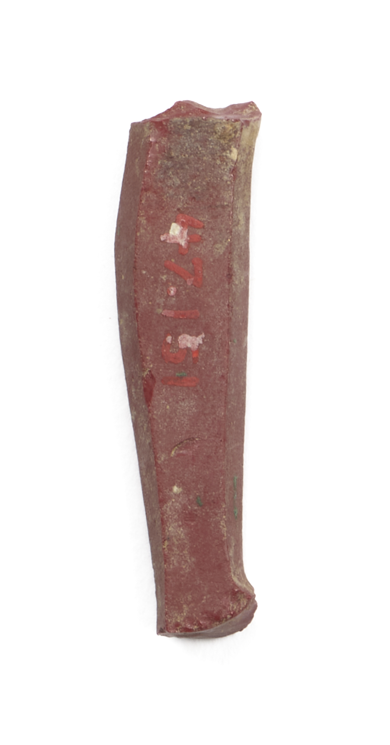 Image for Inlay Fragment of a Leg
