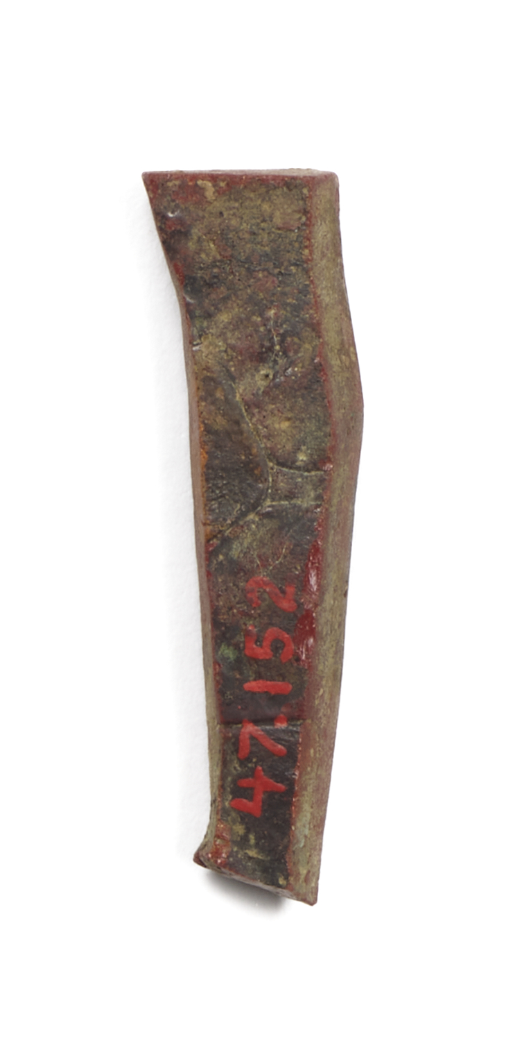 Image for Inlay Fragment of a Leg