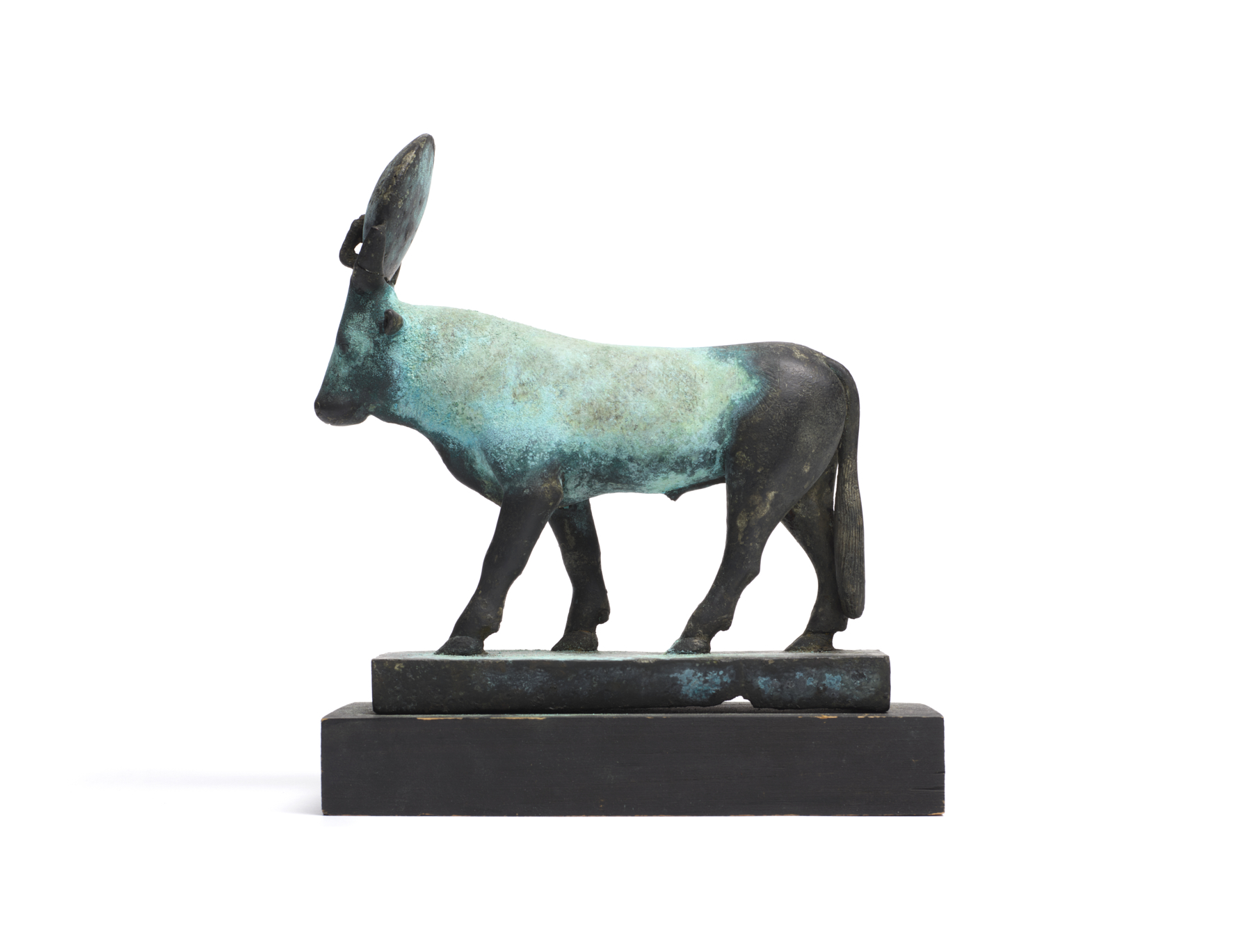 Image for Apis, Bull of Memphis