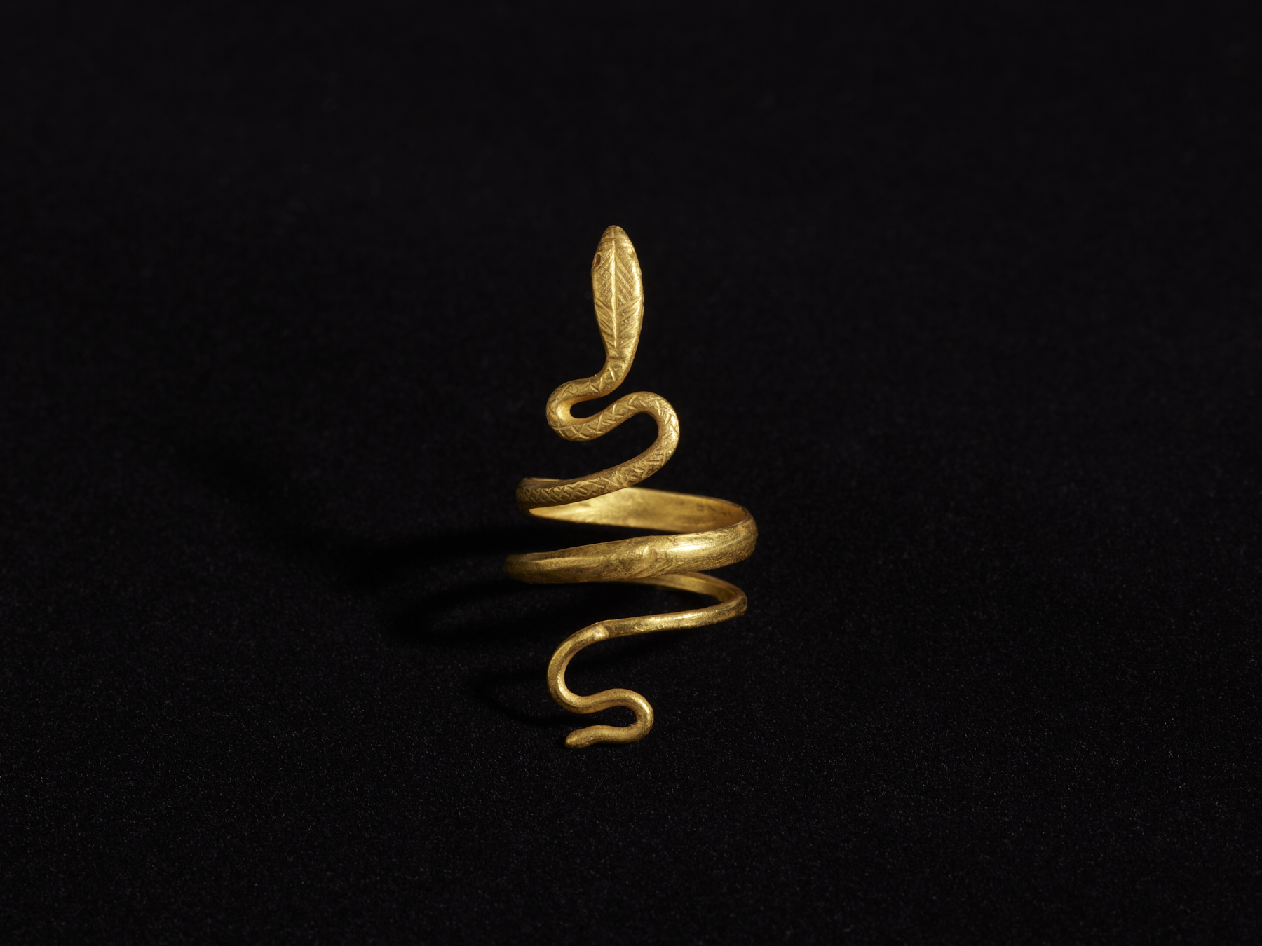 Image for Roman Snake Ring