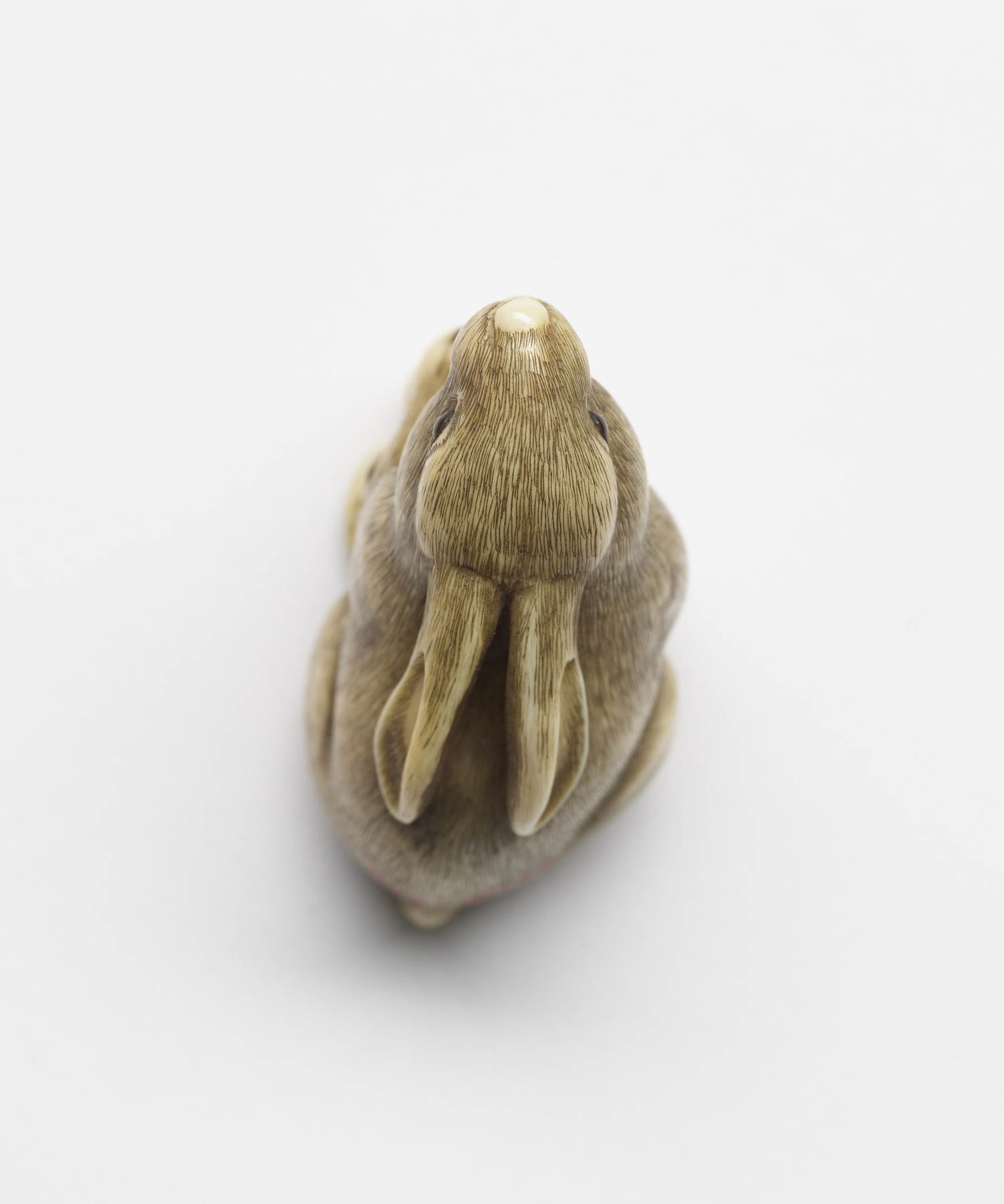 Image for Rabbit with Loquats