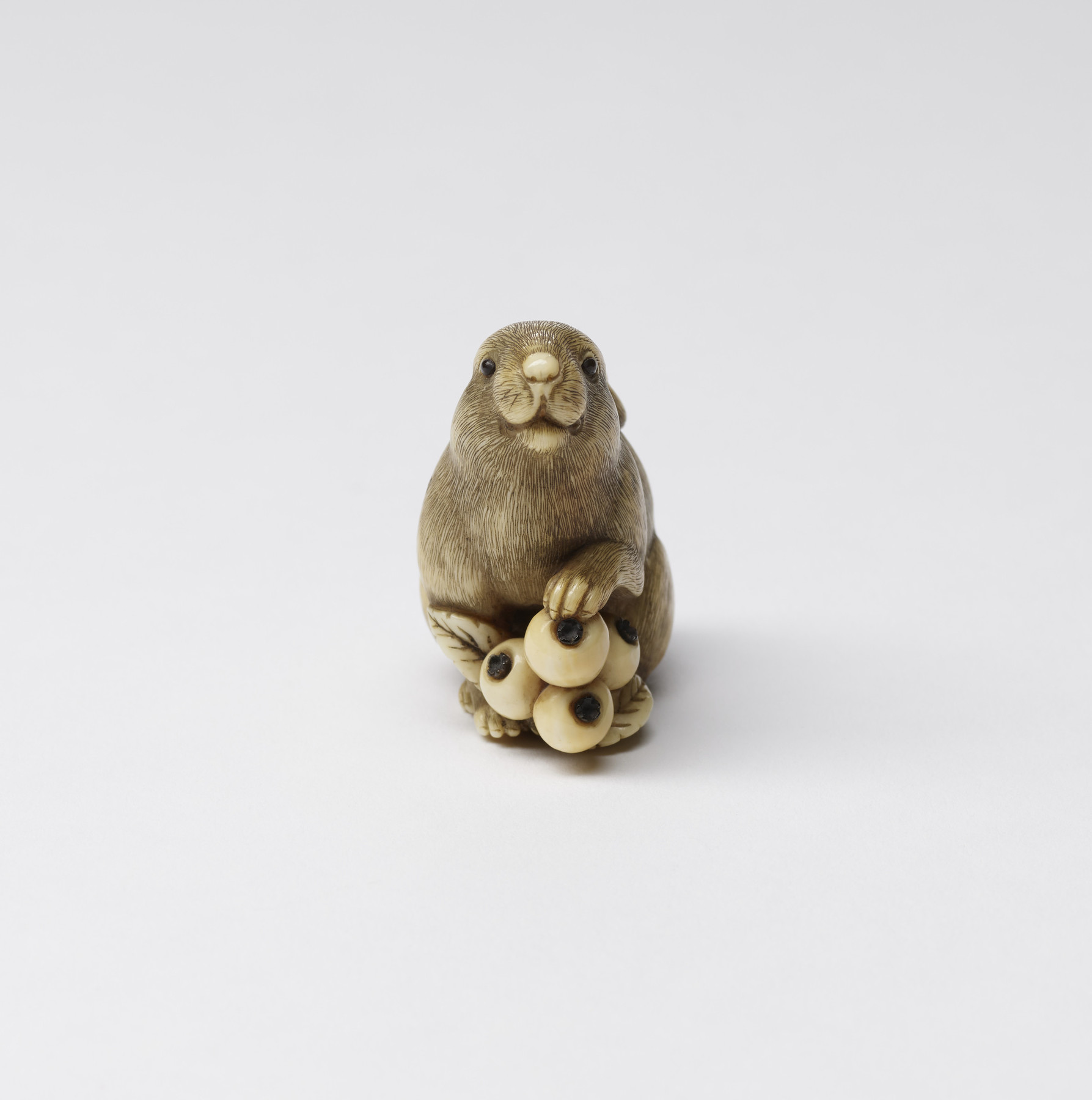Image for Rabbit with Loquats