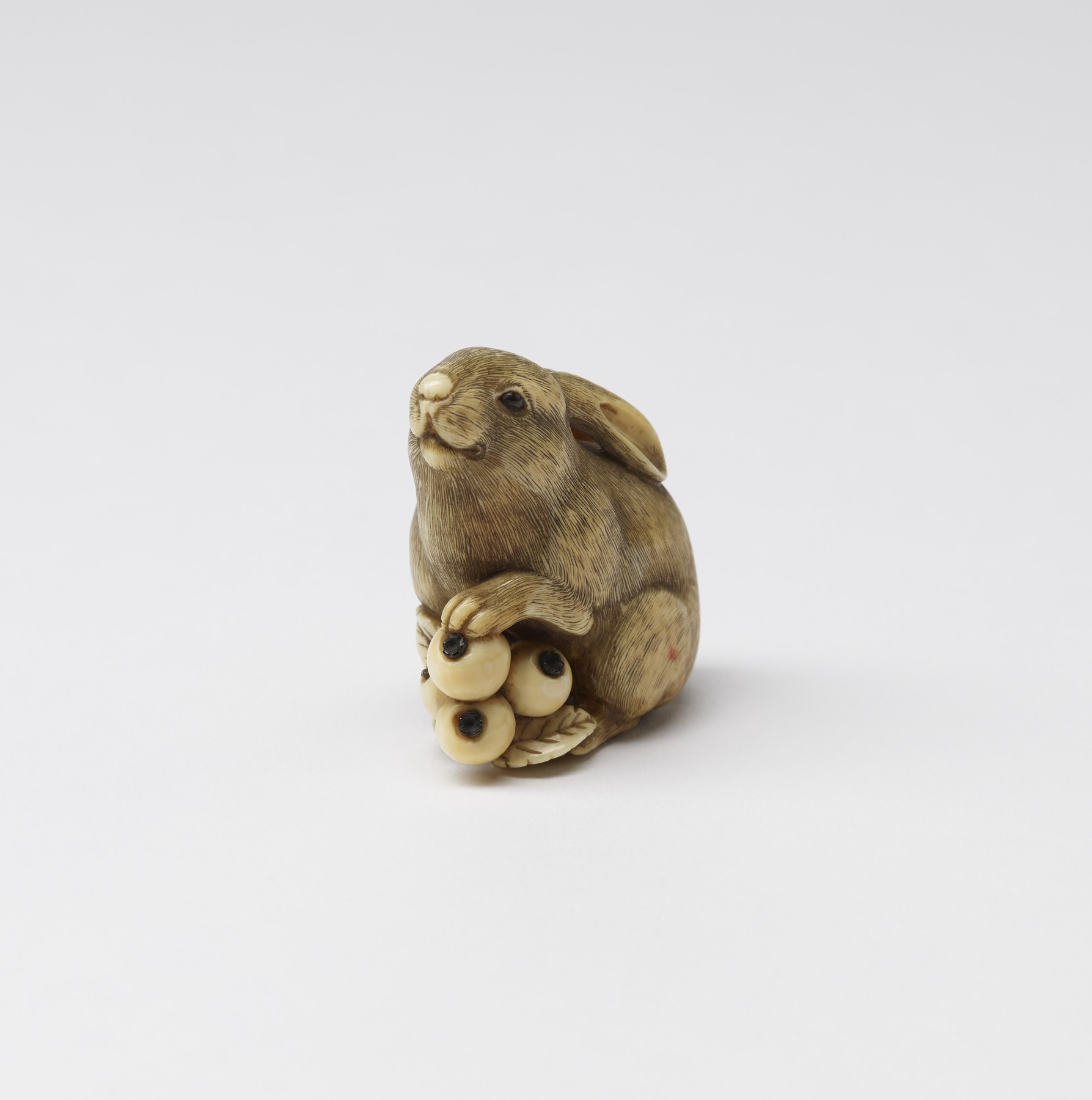 Image for Rabbit with Loquats