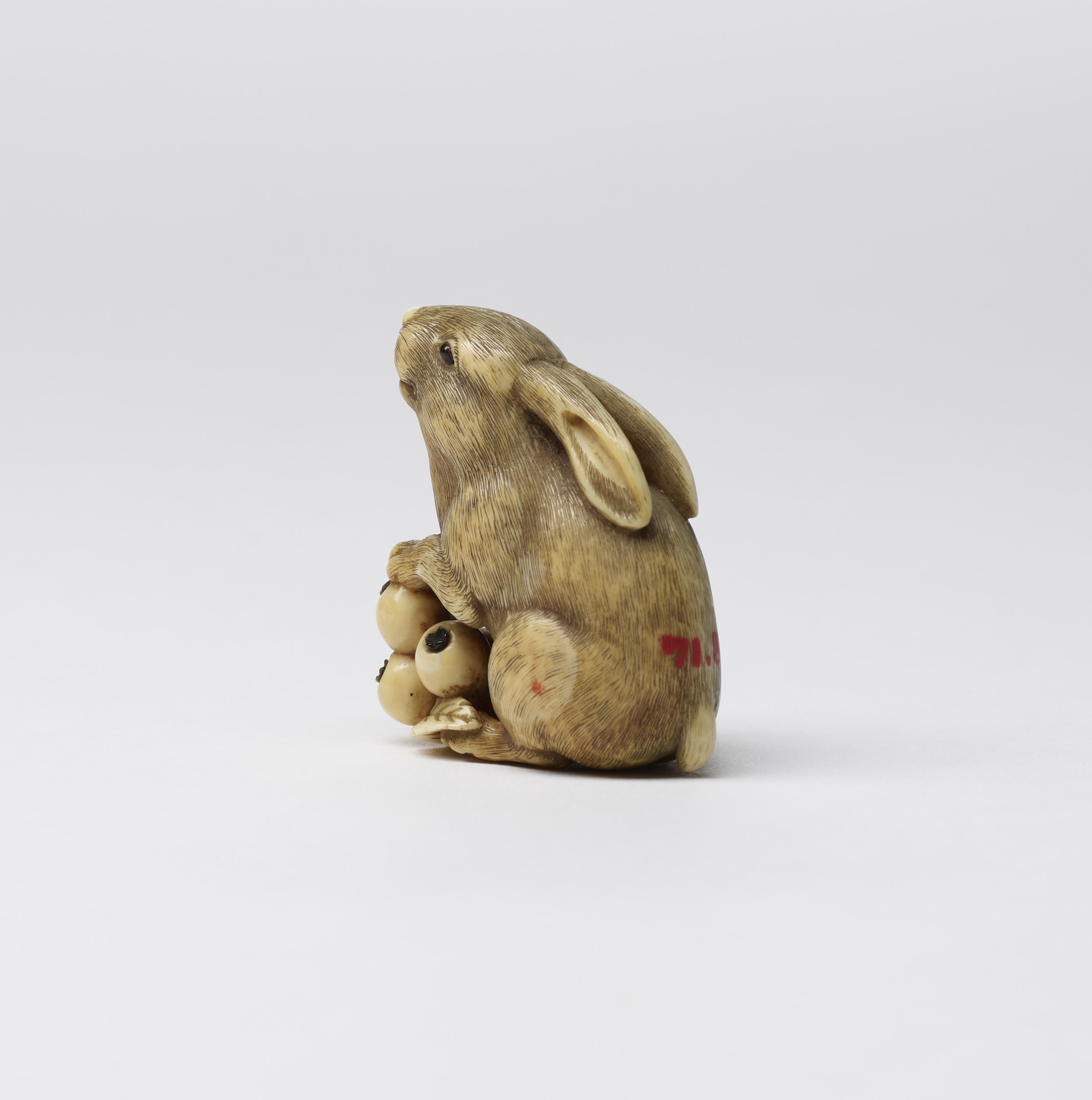 Image for Rabbit with Loquats