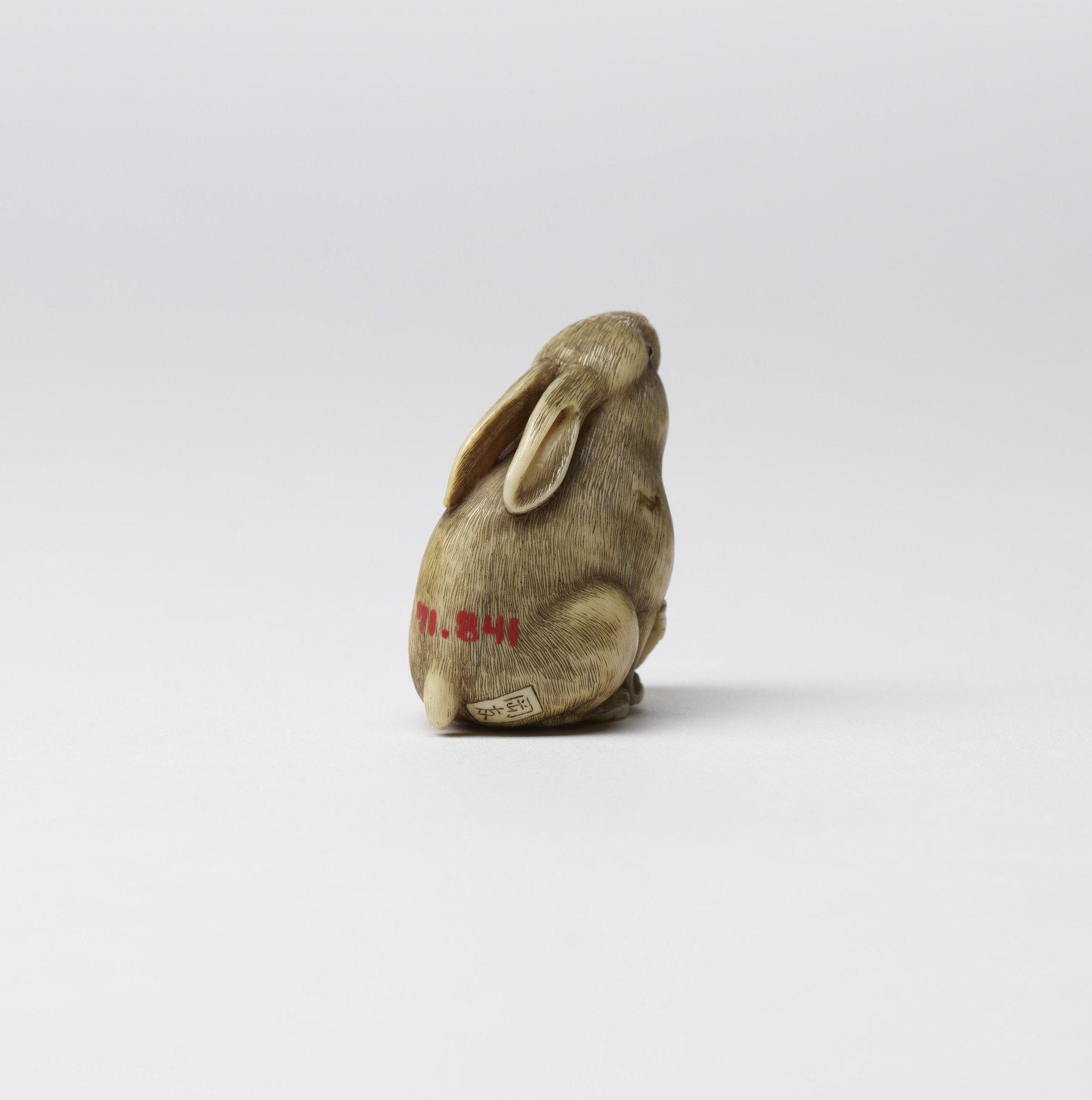 Image for Rabbit with Loquats