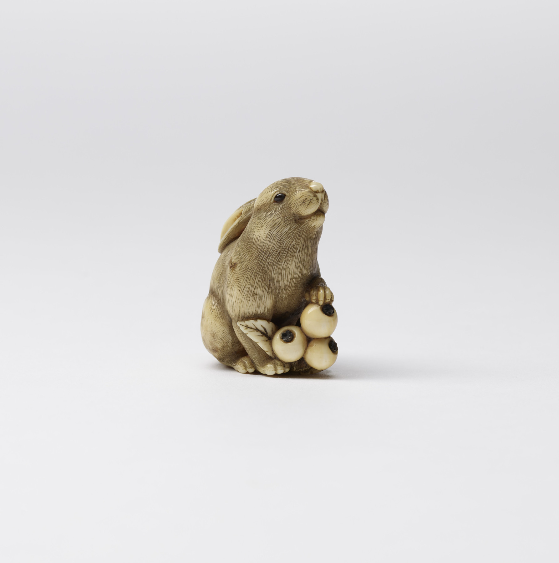 Image for Rabbit with Loquats