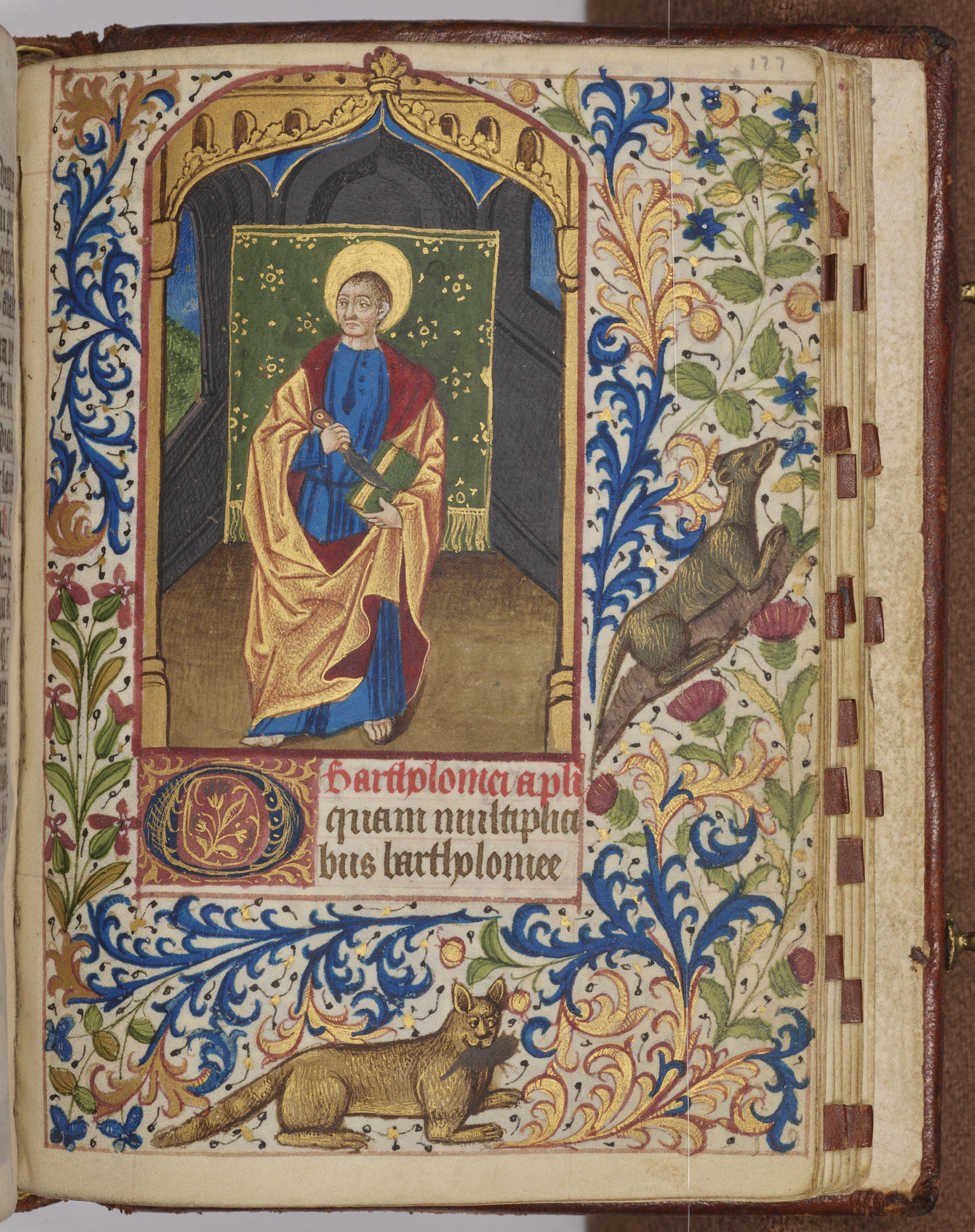 Image for 49 full page miniatures