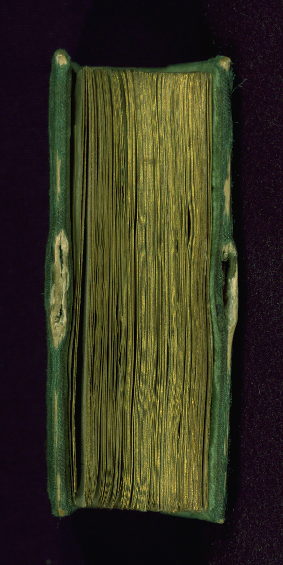 Image for Binding from Incomplete Book of Hours