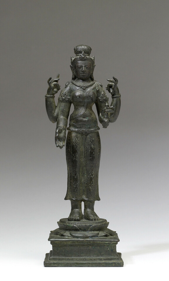 Image for The Buddhist Goddess Bhrikuti