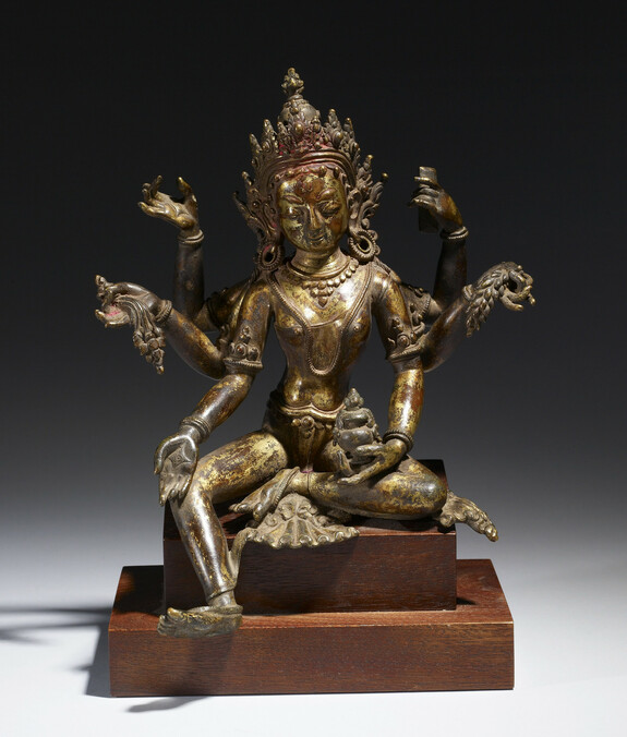 Image for Vasudhara