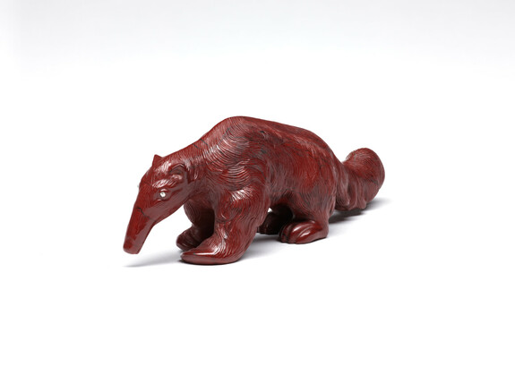 Image for Anteater