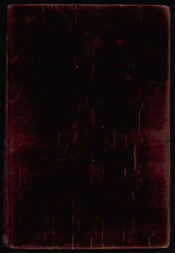 The Conradin Bible