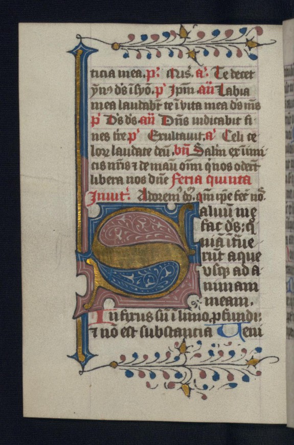 Foliate Initial S W 198 80v The Walters Art Museum