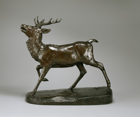 Poised Stag