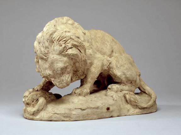 Lion and Snake