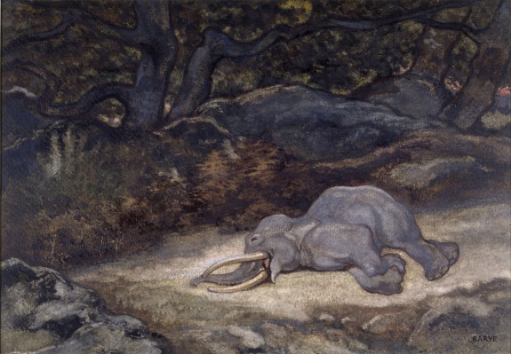 Elephant Asleep