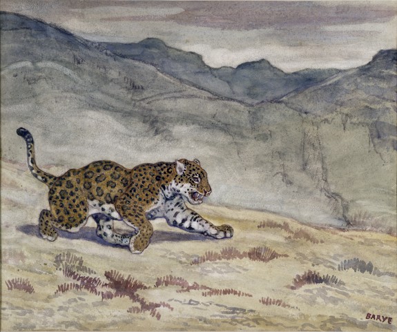 Running Jaguar