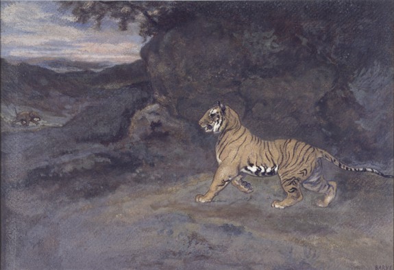 Tiger Watching an Elephant