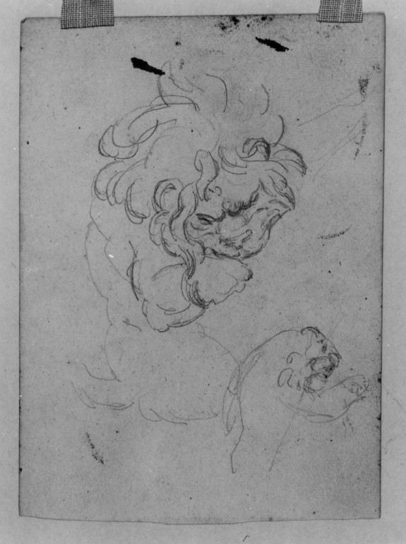 Sketch of a Lion After Rubens