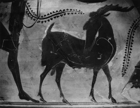 Amphora with Scenes of Dionysus