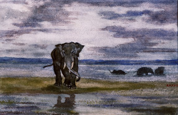 Elephants in Water