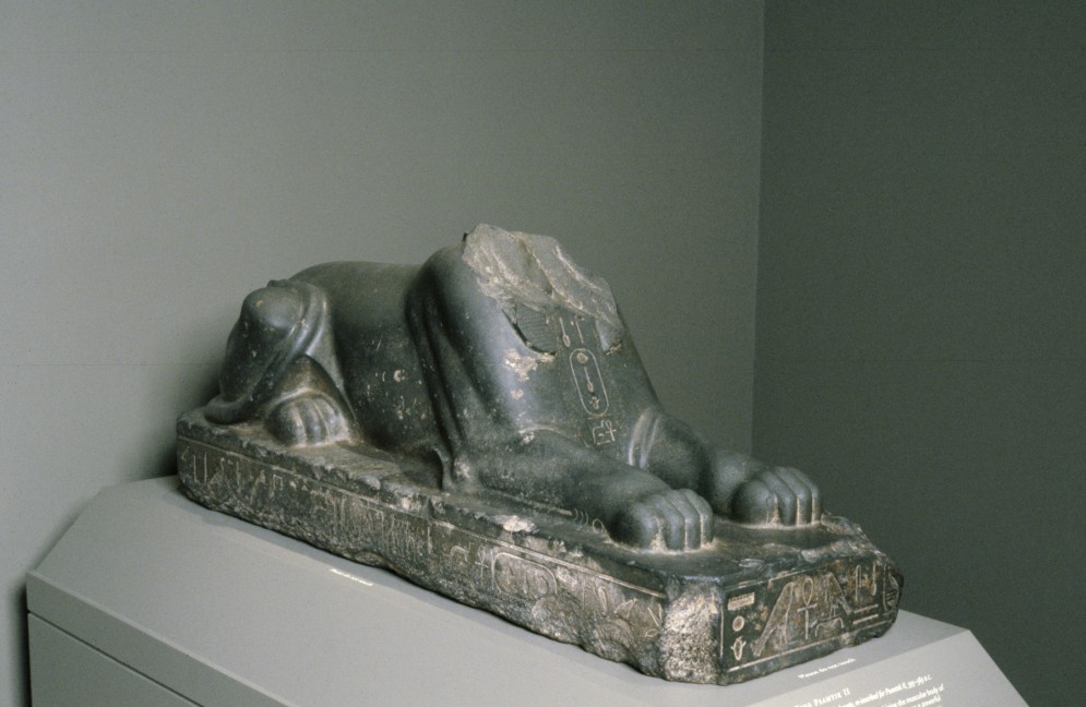 king sphinx