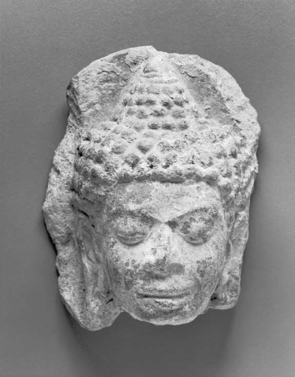 Head of the Buddha