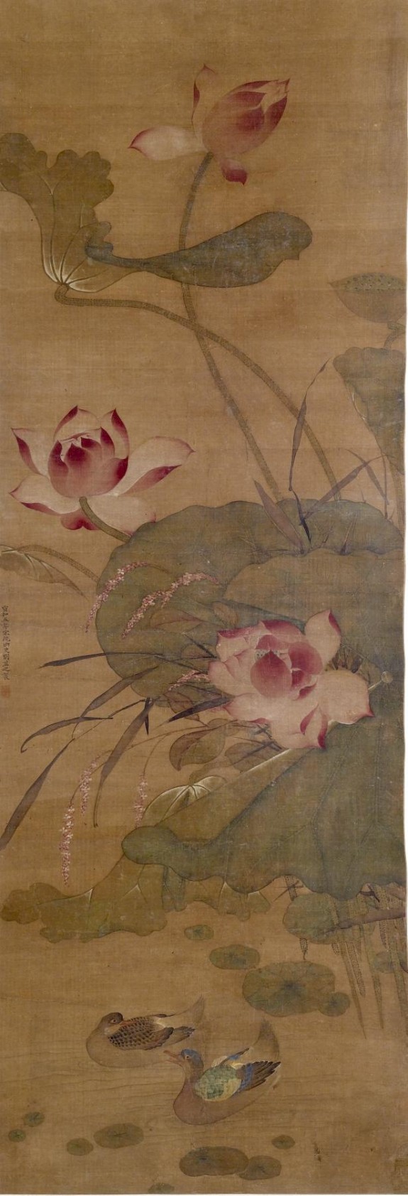 Ducks in a Lotus Pond