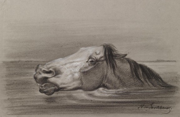 Head of a Swimming Horse