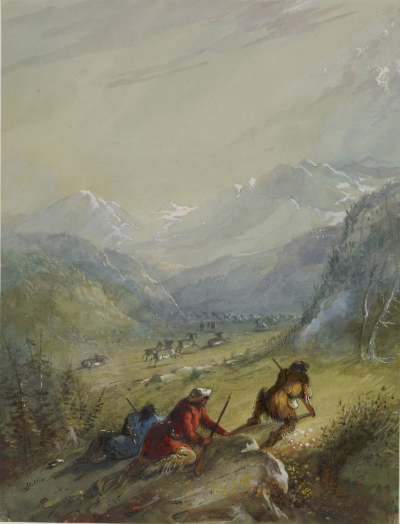 The Argali - Mountain Sheep