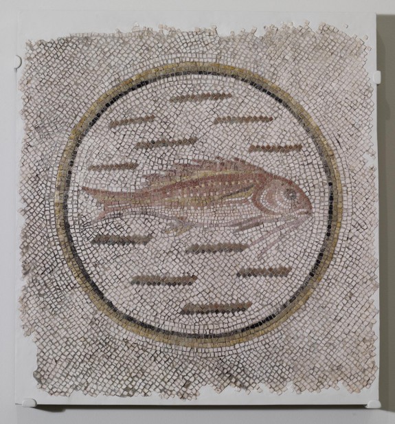 Floor Mosaic Fragment with Fish in a Roundel