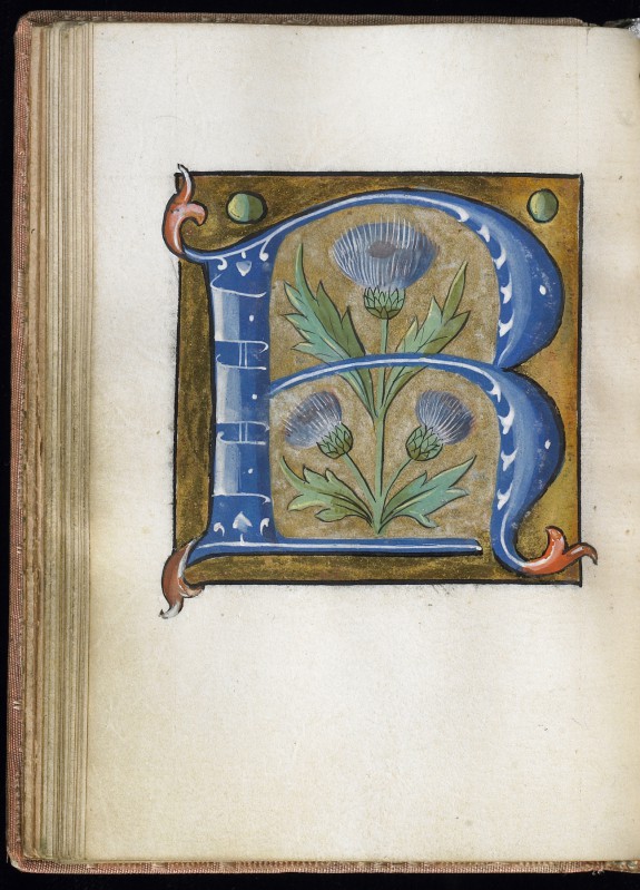 Leaf from Alphabet Book | W.200.23V | The Walters Art Museum