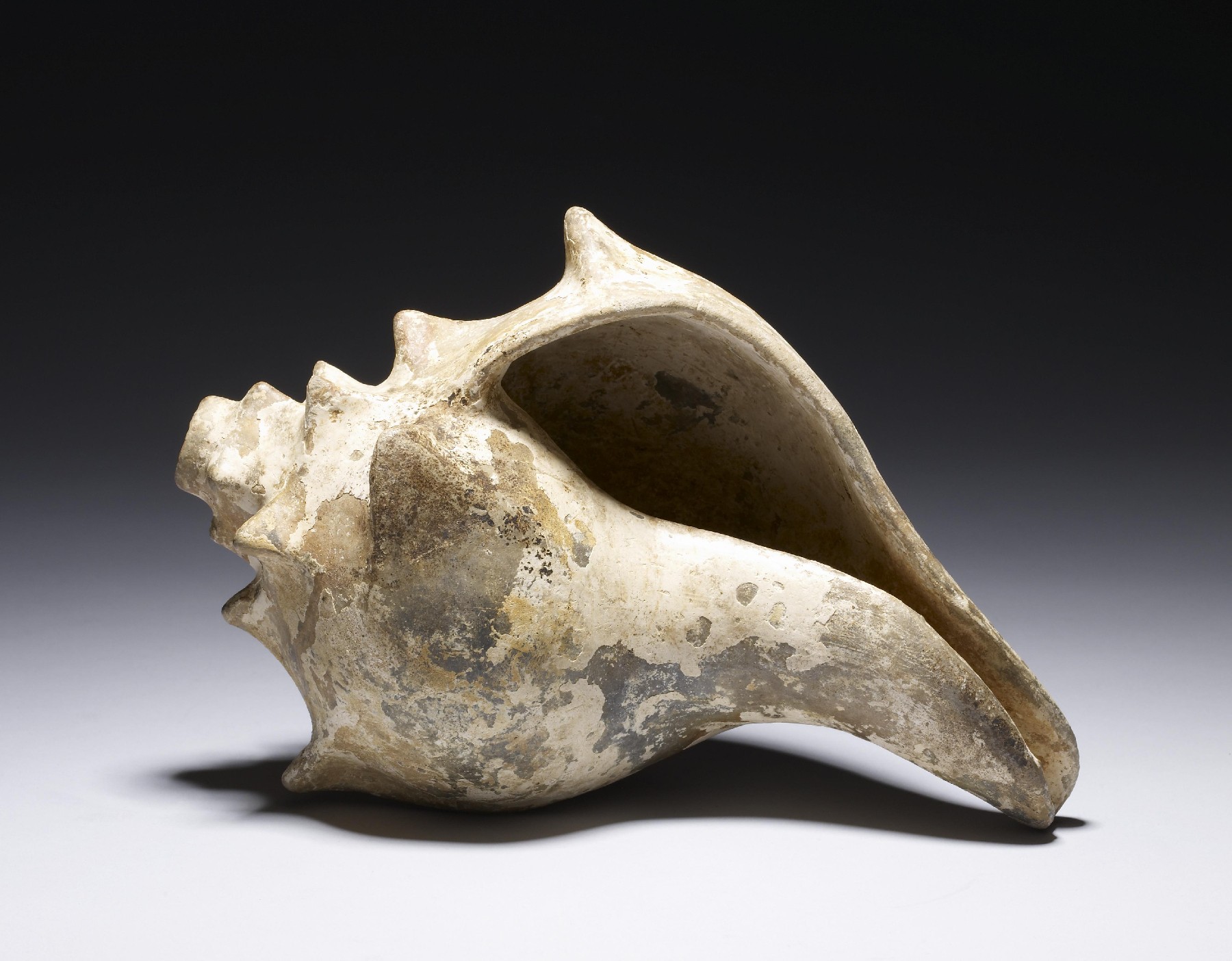 [OS] Conch Shell Trumpet Effigy. Earthenware, white slip. Colima ...