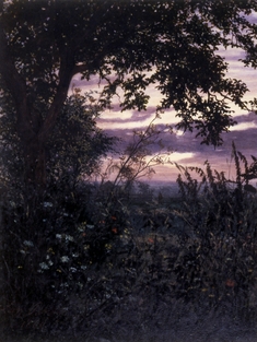 Image for Landscape at Sunset