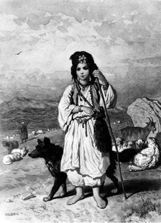 Image for Little Shepherdess and Flocks