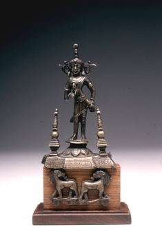 [Image for Himalayan]