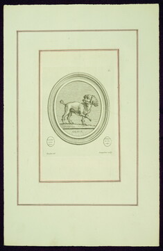 Image for Portrait of Madame de Pompadour’s Dog (Bébé?), from Madame de Pompadour's "Suite of Prints"