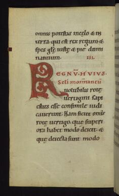 Image for Inhabited initial R with dragon