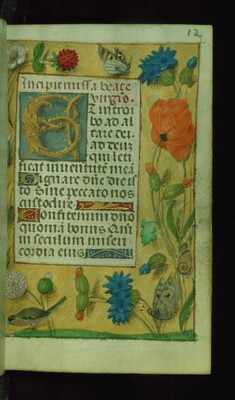 [Image for Master of the Prayerbooks of ca. 1500]