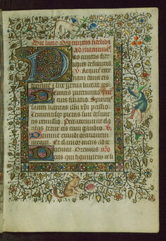 [Image for Gold Scrolls Group]