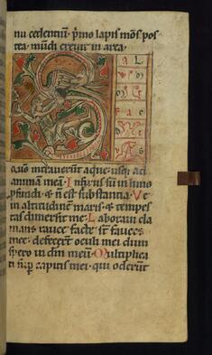 Image for Initial S with Man Battling a Dragon