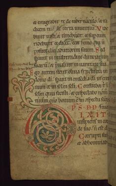 Image for Decorated initial "D"