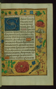[Image for Master of the Prayerbooks of ca. 1500]